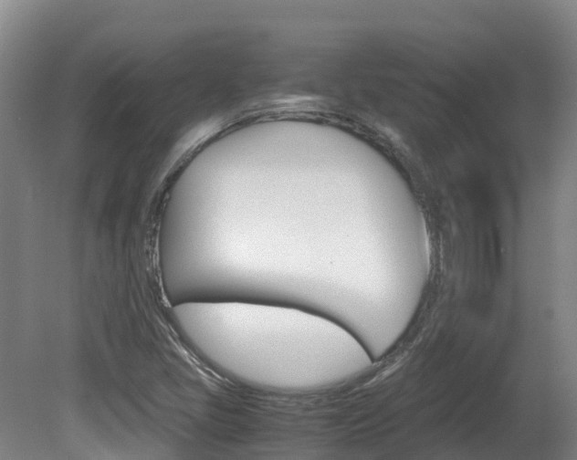 X0000081611405200701151108