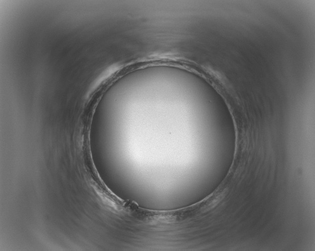 X0000081611406200701151108
