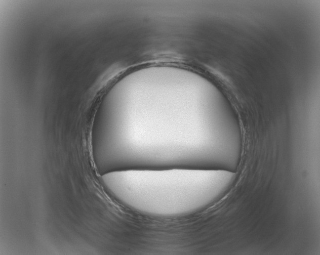 X0000081611407200701151108
