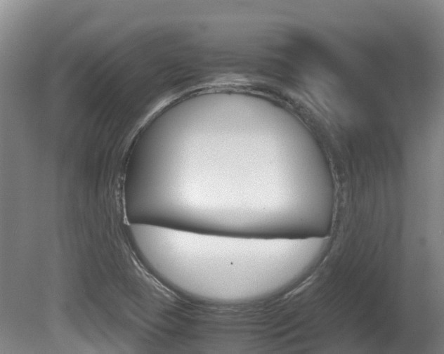 X0000081611409200701151108