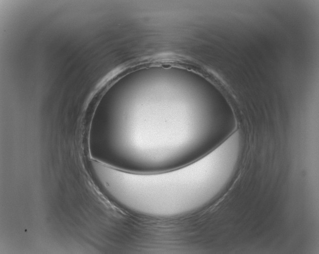 X0000081611410200701151108