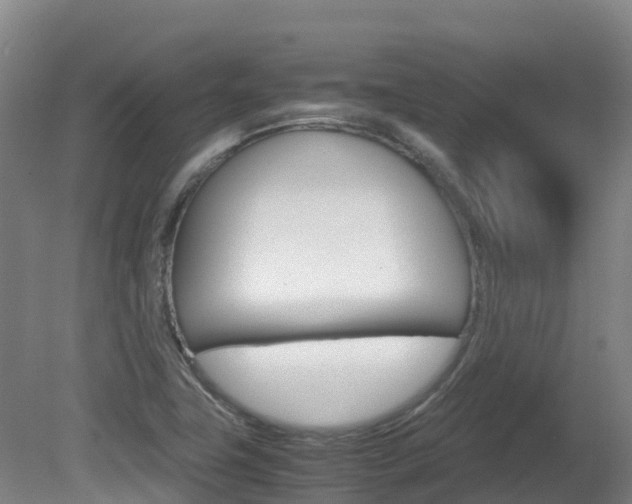 X0000081611411200701151108