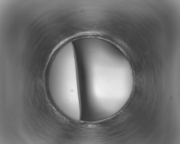 X0000081611412200701151108