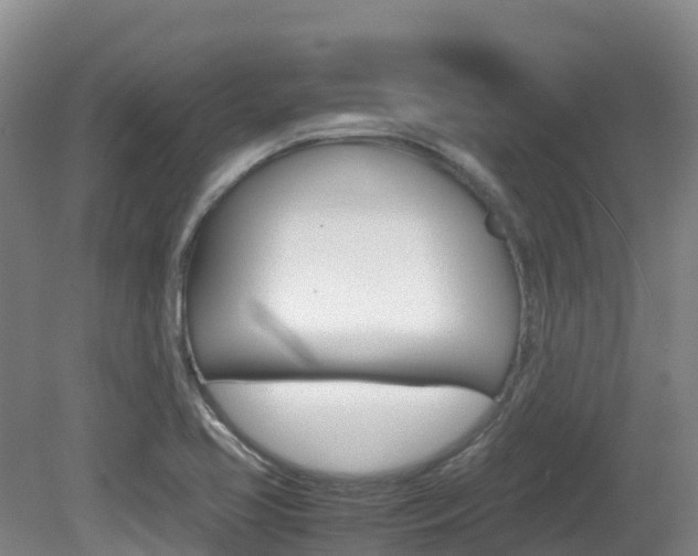 X0000081611413200701151108