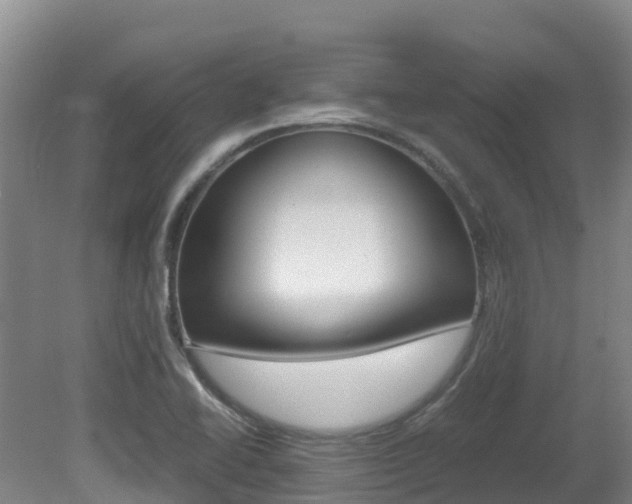 X0000081611414200701151108