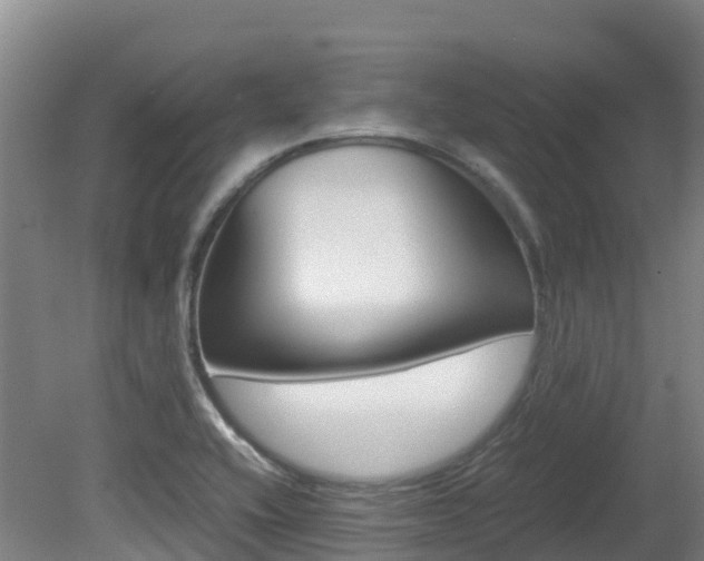 X0000081611416200701151108