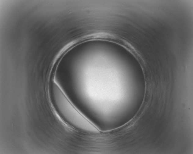 X0000081611418200701151108