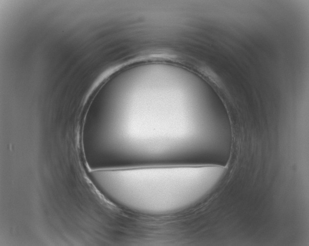 X0000081611420200701151108