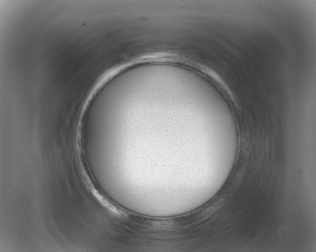 X0000081611421200701151108