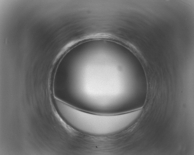 X0000081611422200701151108