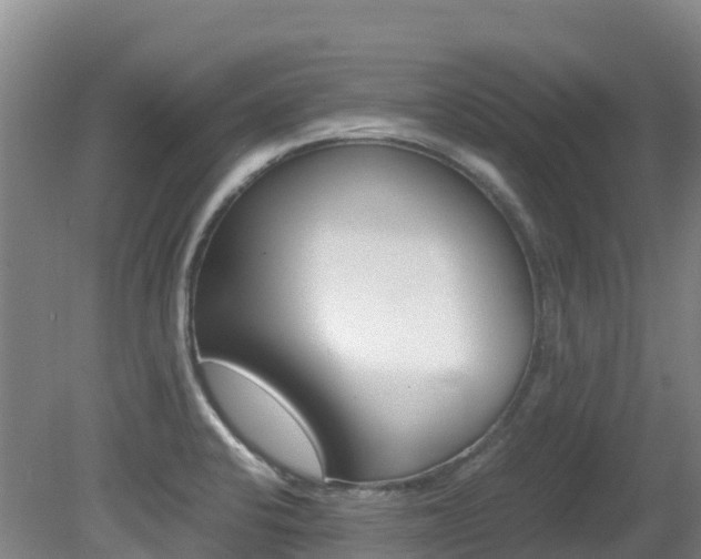 X0000081611424200701151108