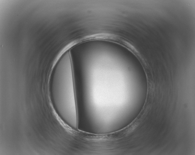 X0000081611426200701151108