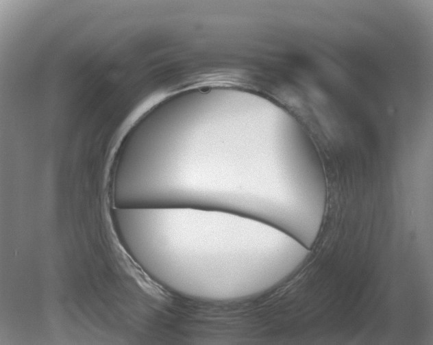 X0000081611427200701151108