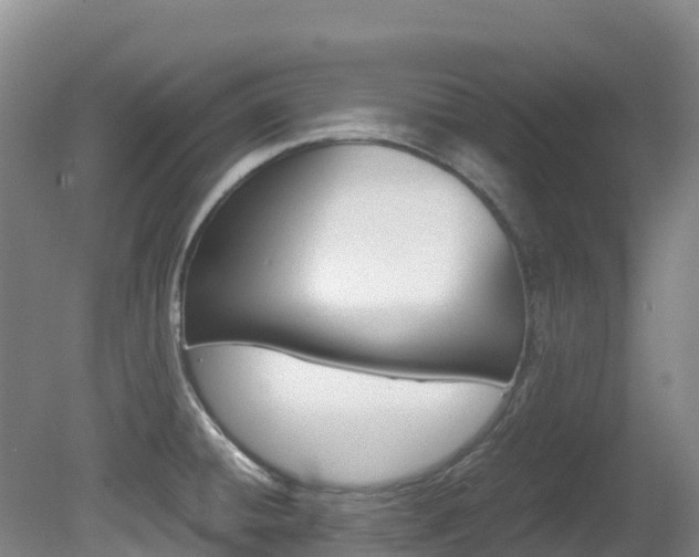X0000081611428200701151108
