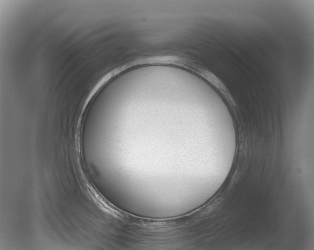 X0000081611436200701151108