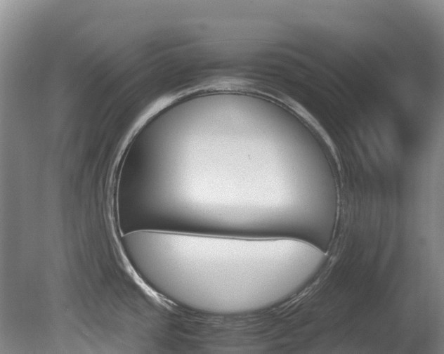 X0000081611437200701151108