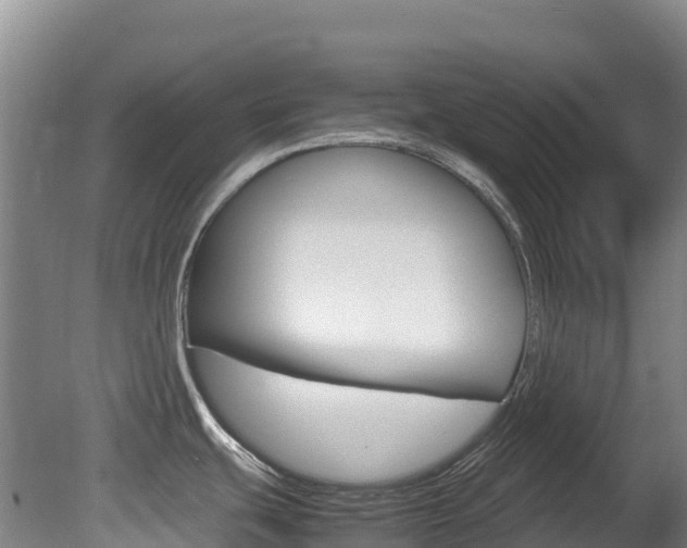 X0000081611439200701151108