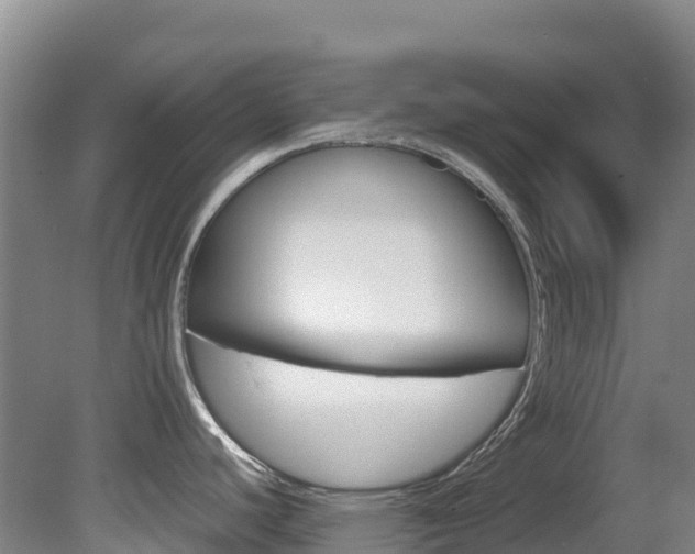 X0000081611440200701151108