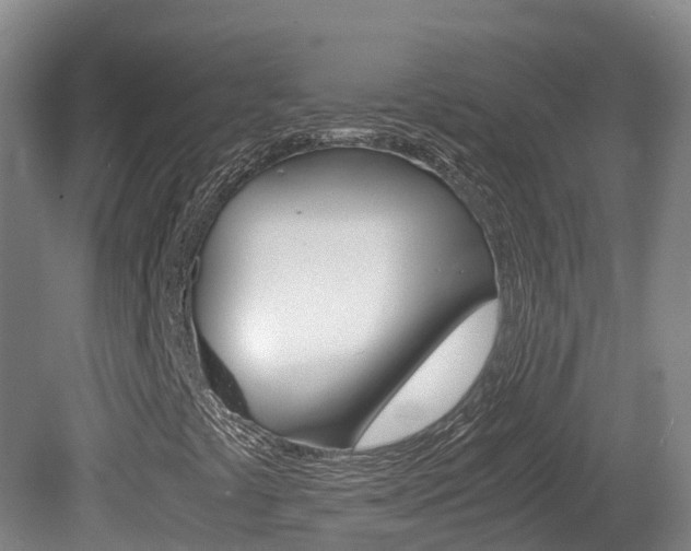 X0000081611441200701151108