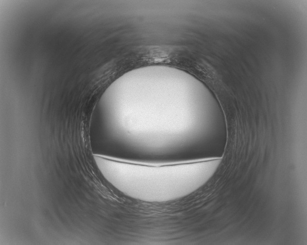 X0000081611442200701151108