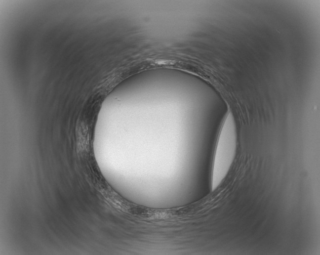 X0000081611443200701151108