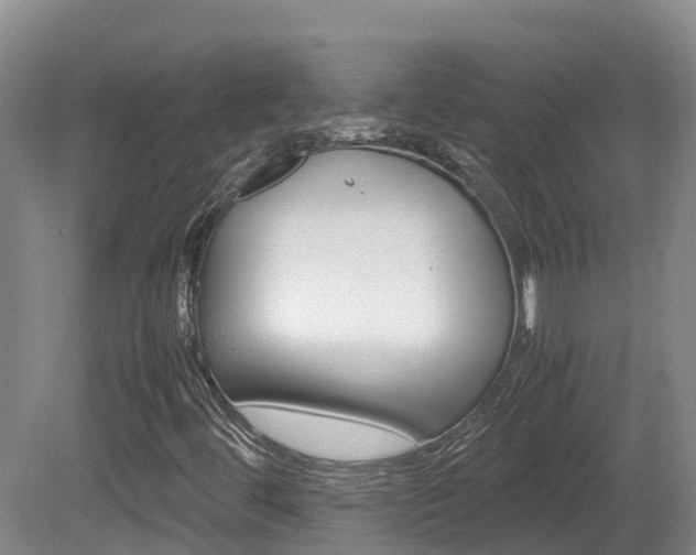 X0000081611444200701151108