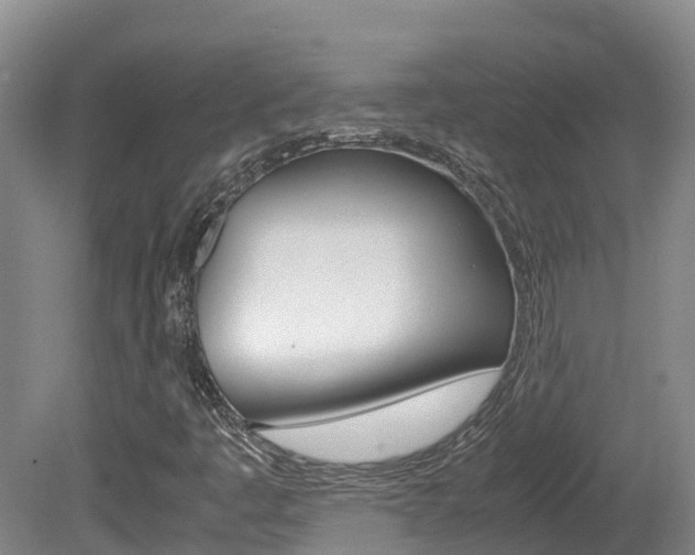 X0000081611445200701151107