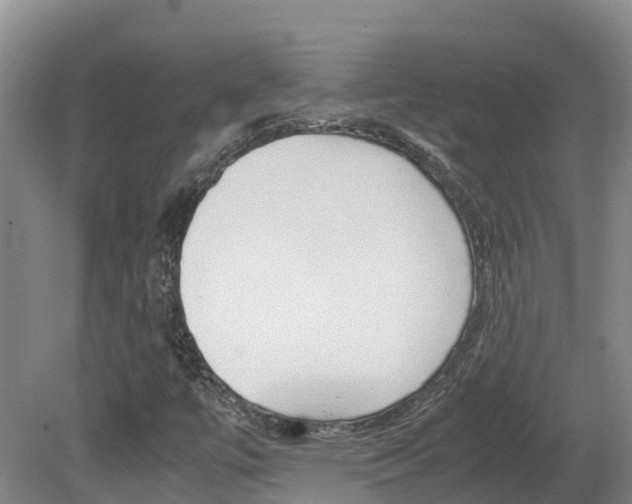 X0000081611447200701151107