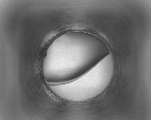 X0000081611448200701151107