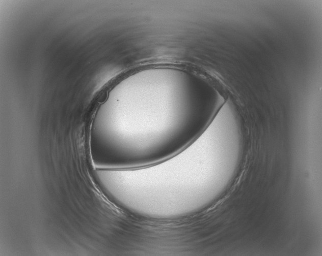 X0000081611450200701151107