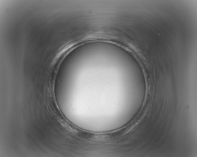 X0000081611453200701151107