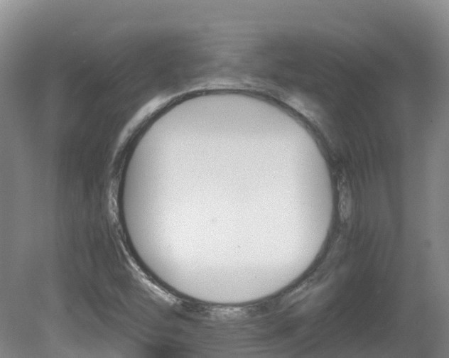 X0000081611454200701151107
