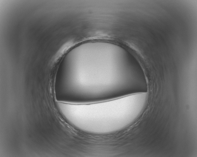X0000081611455200701151107