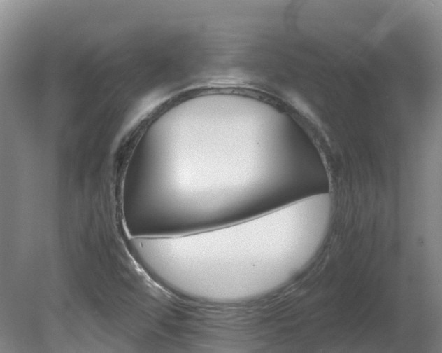 X0000081611456200701151107