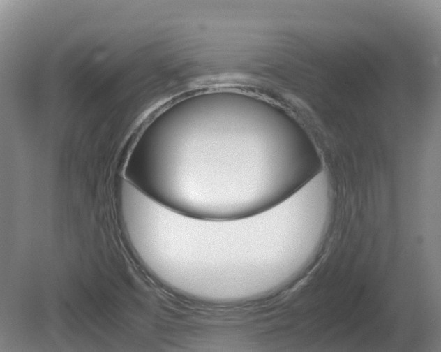 X0000081611457200701151107