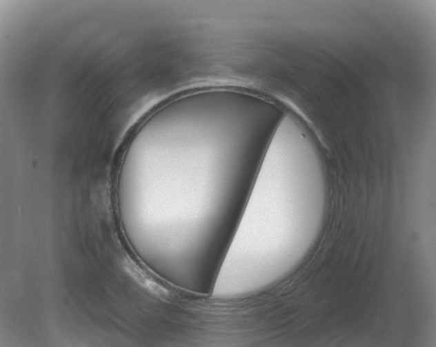 X0000081611460200701151107