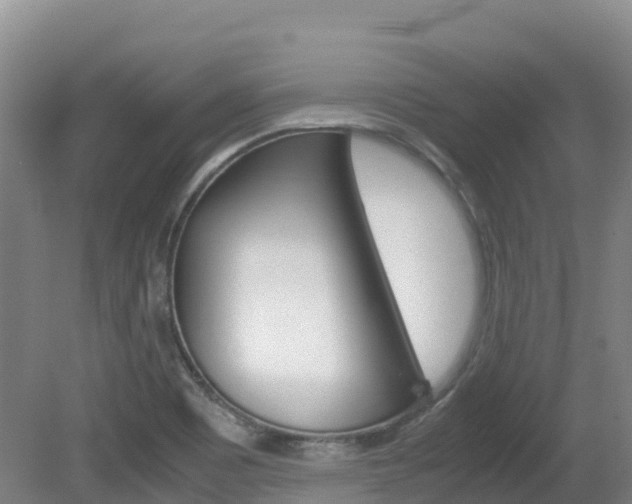 X0000081611465200701151107