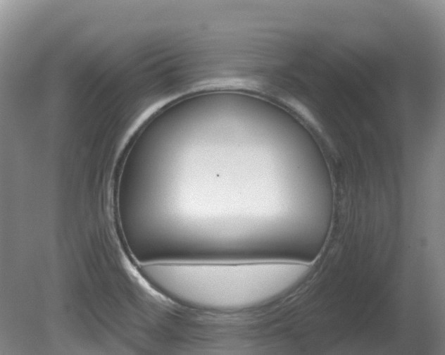 X0000081611468200701151107