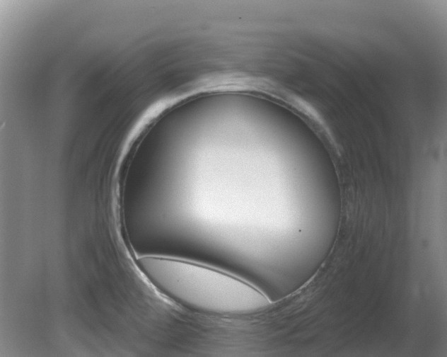 X0000081611472200701151107