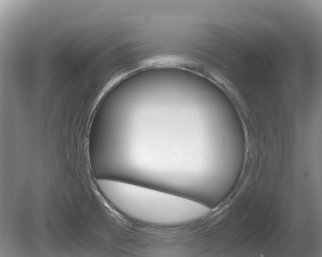 X0000081611473200701151107
