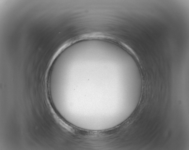 X0000081611475200701151107