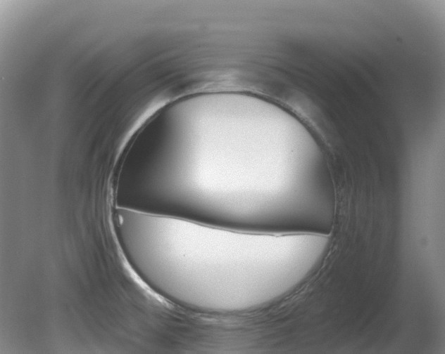 X0000081611476200701151107