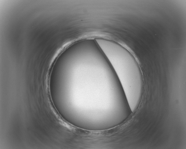 X0000081611477200701151107