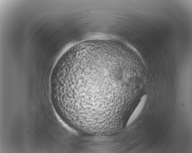 X0000081611479200701151107