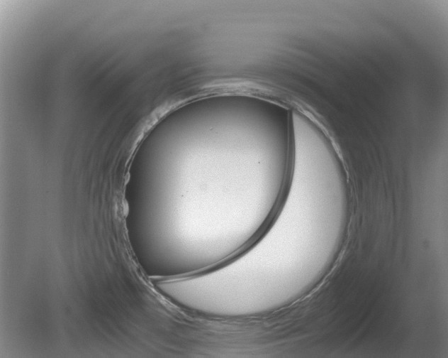 X0000081611481200701151107