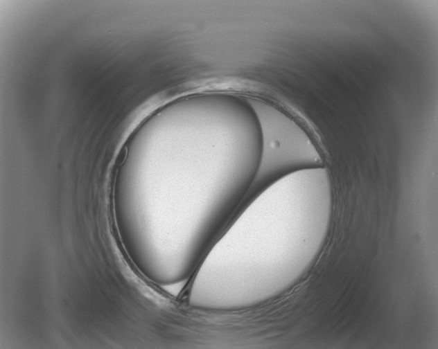 X0000081611483200701151107