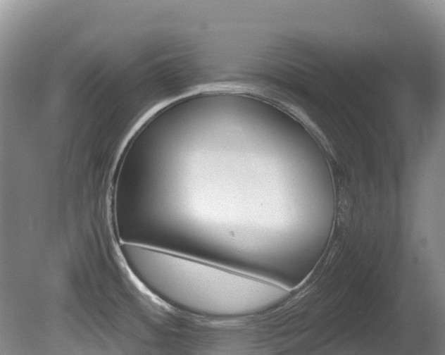 X0000081611484200701151107