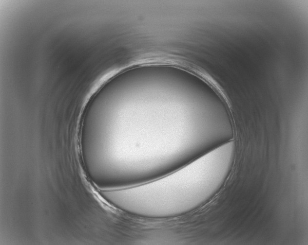 X0000081611485200701151107