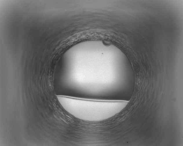 X0000081611490200701151106