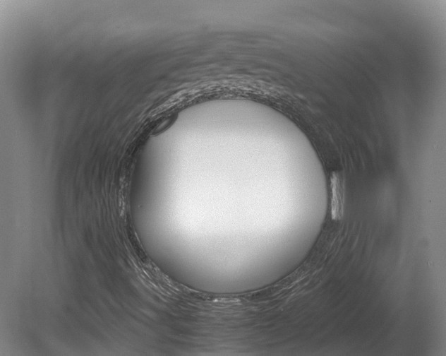 X0000081611491200701151106
